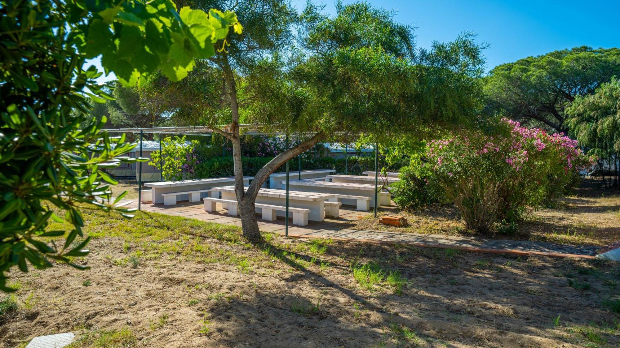 Happy Camp Mobile Homes In Camping Village Baia Paradiso 바데시 외부 사진